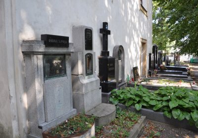 Třebenice u kostela, Omnium, 2020