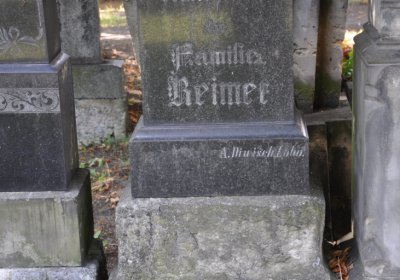 Třebenice u kostela, Omnium, 2020