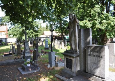Třebenice u kostela, Omnium, 2020