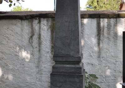 Třebenice u kostela, Omnium, 2020