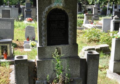 Třebenice u kostela, Omnium, 2020
