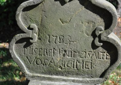 Třebenice u kostela, Omnium, 2020