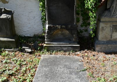 Třebenice u kostela, Omnium, 2020