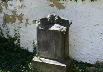 Třebenice u kostela, Omnium, 2020
