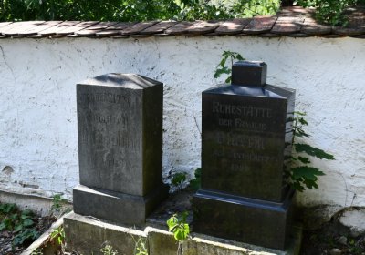 Třebenice u kostela, Omnium, 2020