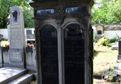 Třebenice u kostela, Omnium, 2020