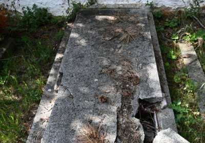 Třebenice u kostela, Omnium, 2020