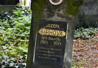 Třebenice u kostela, Omnium, 2020