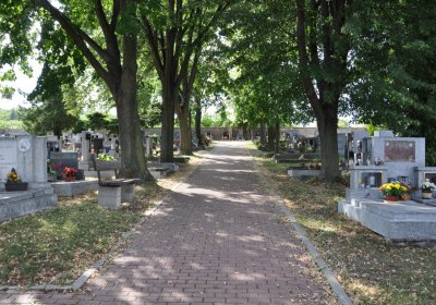 Třebenice, Omnium, 2020