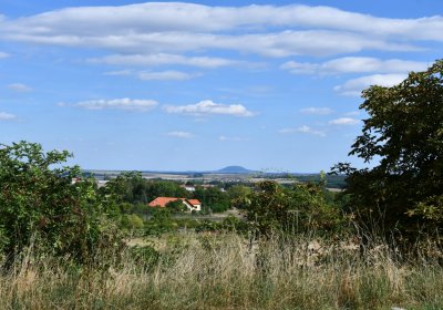 Třebenice, Omnium, 2020