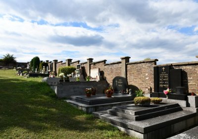 Třebenice, Omnium, 2020