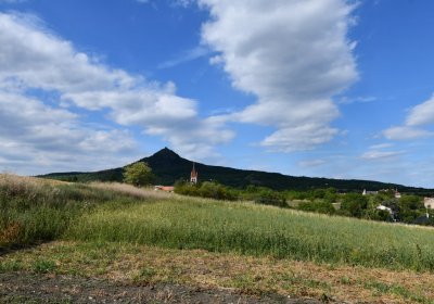 Třebenice, Omnium, 2020