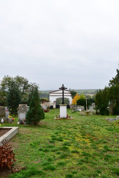 Bitozeves
