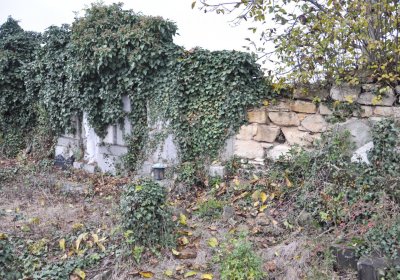 Bítozeves, Omnium, 2020