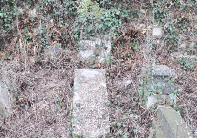 Bítozeves, Omnium, 2020