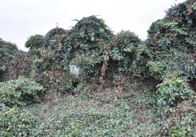 Bítozeves, Omnium, 2020