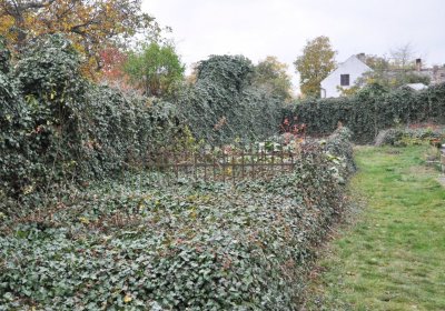 Bítozeves, Omnium, 2020