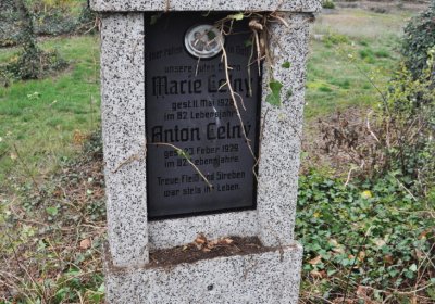 Bítozeves, Omnium, 2020