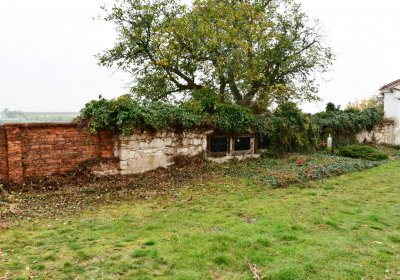 Bítozeves, Omnium, 2020