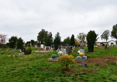 Bítozeves, Omnium, 2020