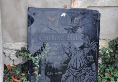 Tatinná, Omnium, 2020