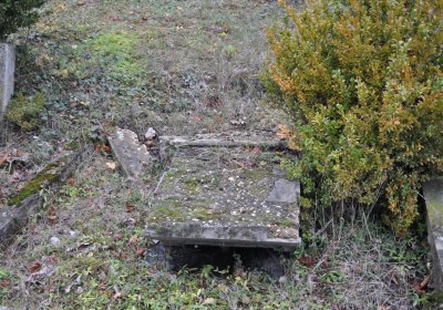 Tatinná, Omnium, 2020