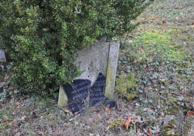 Tatinná, Omnium, 2020