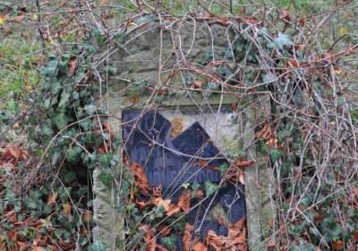 Tatinná, Omnium, 2020