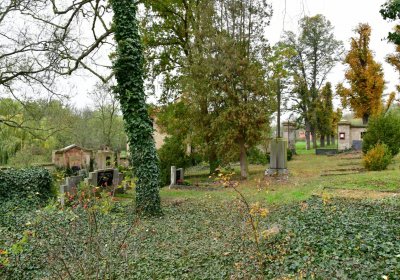 Tatinná, Omnium, 2020