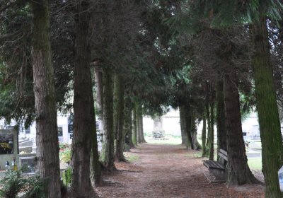 Solopysky, Omnium, 2020