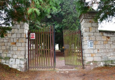 Solopysky, Omnium, 2020