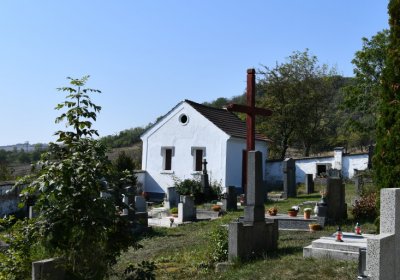 Třtěno, Omnium, 2020