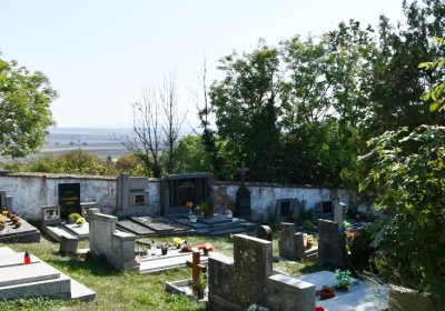 Třtěno, Omnium, 2020