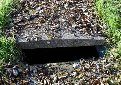 Břežany, Omnium, 2020