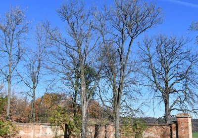 Břežany, Omnium, 2020