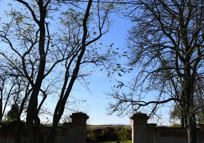 Břežany, Omnium, 2020