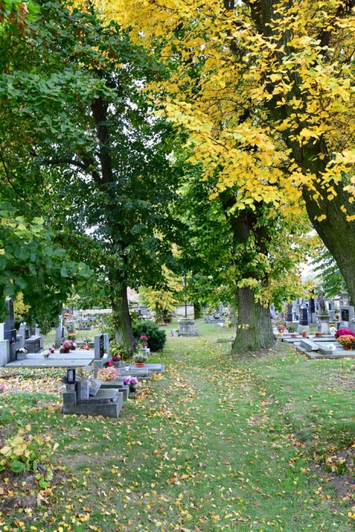 Černochov