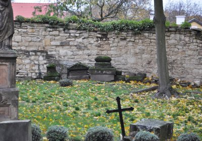 Peruc u kostela, Omnium, 2020