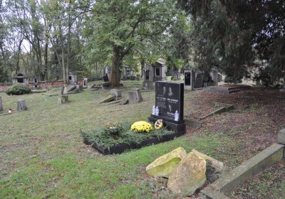 Minice, Omnium, 2020