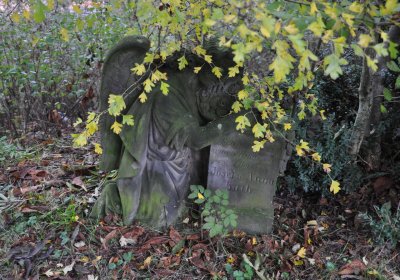 Minice, Omnium, 2020