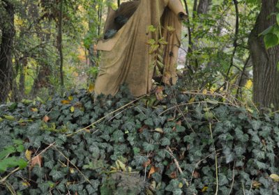 Minice, Omnium, 2020