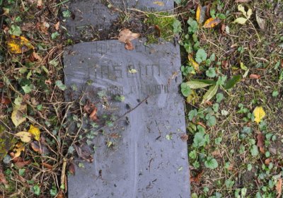 Minice, Omnium, 2020