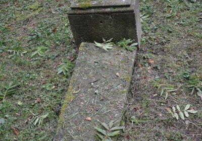 Minice, Omnium, 2020