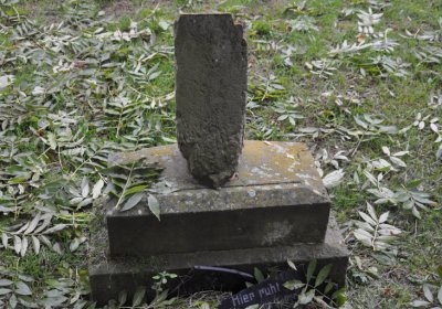 Minice, Omnium, 2020