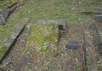 Minice, Omnium, 2020