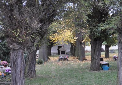 Hořetice, Omnium, 2020