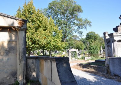 Teplice městský, Omnium, 2020
