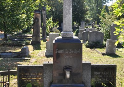 Teplice městský, Omnium, 2020