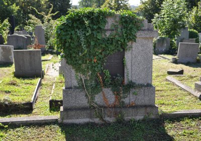 Teplice městský, Omnium, 2020