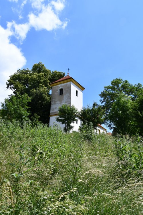Žežice